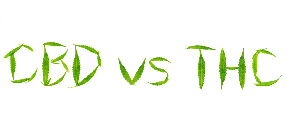 nova-blog-cannabis-natural-1