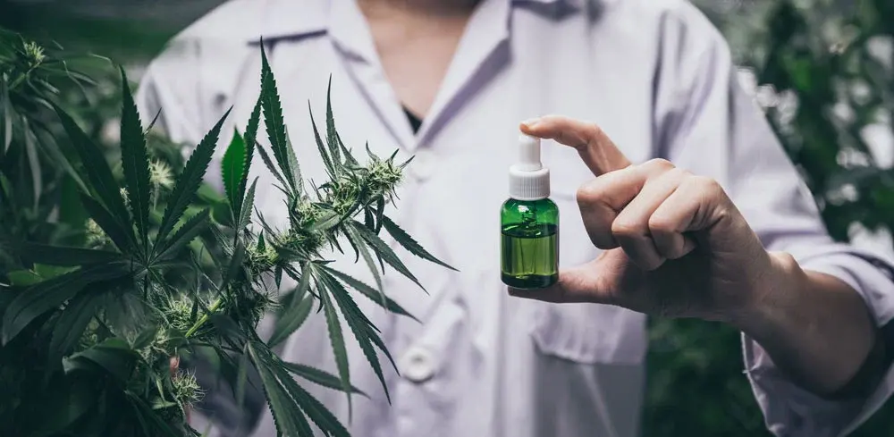 nova-blog-cannabis-natural-3