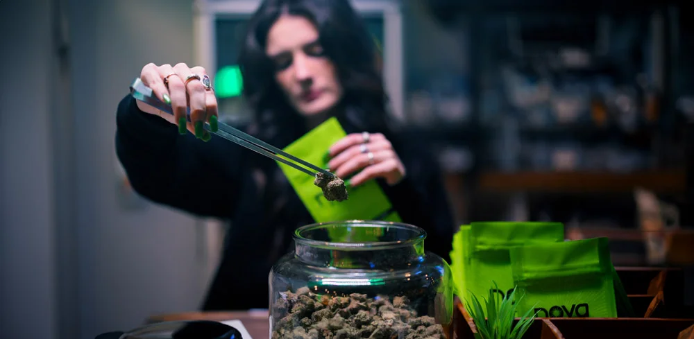 nova-blog-cannabis-strain-budtender