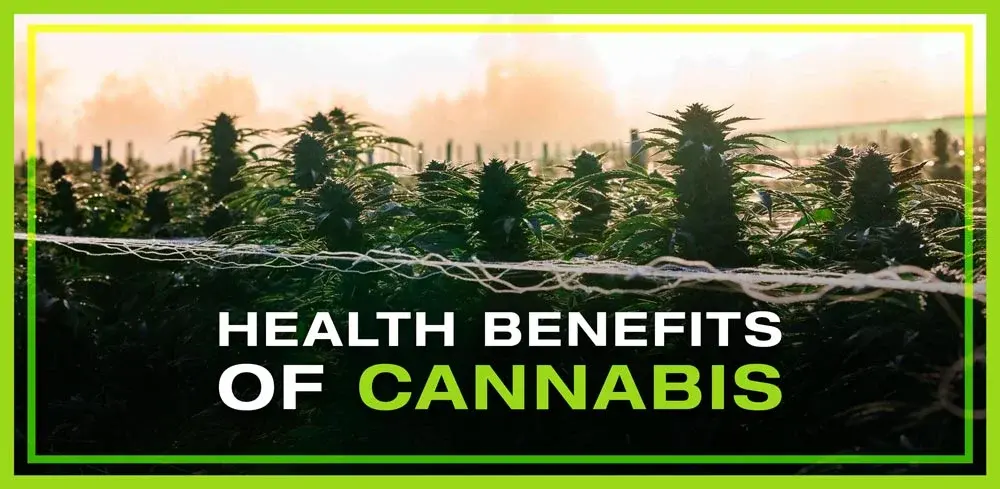 nova-blog-thumbnail-cannabis-health-benefits