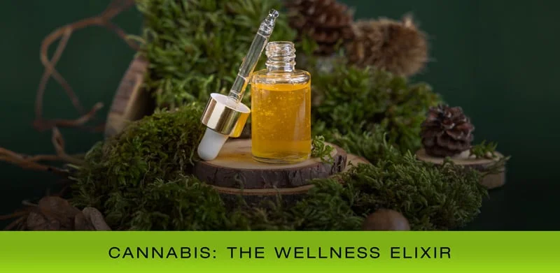 NOVA-blog-thumbnail-WELLNESS-ELIXIR