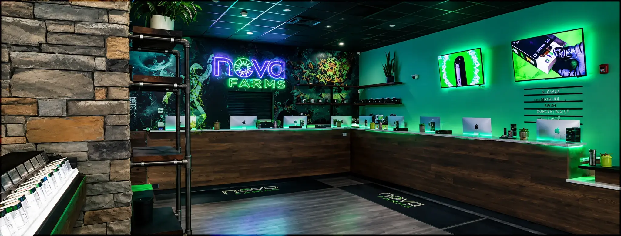 Nova Farms Dracut, photo 1