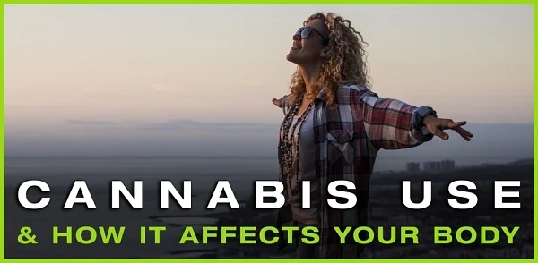 How cannabis affects your body