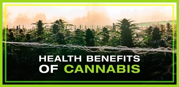 Health benefits of cannabis