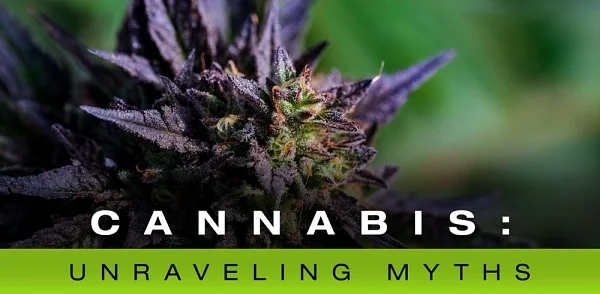 Unraveling cannabis myths