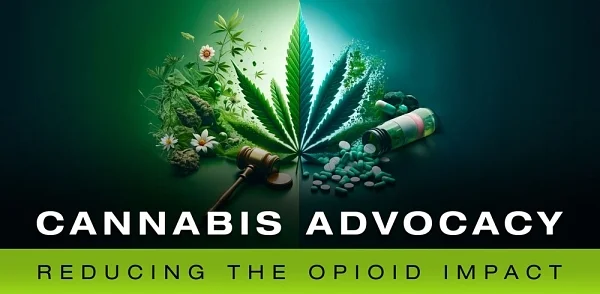 Cannabis advocacy: reducing opioid impact
