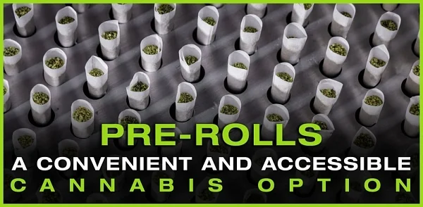 Cannabis pre-rolls guide