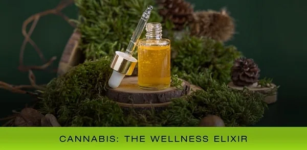 Cannabis wellness tincture