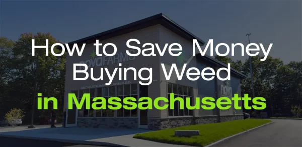 How to save money buying weed in MA
