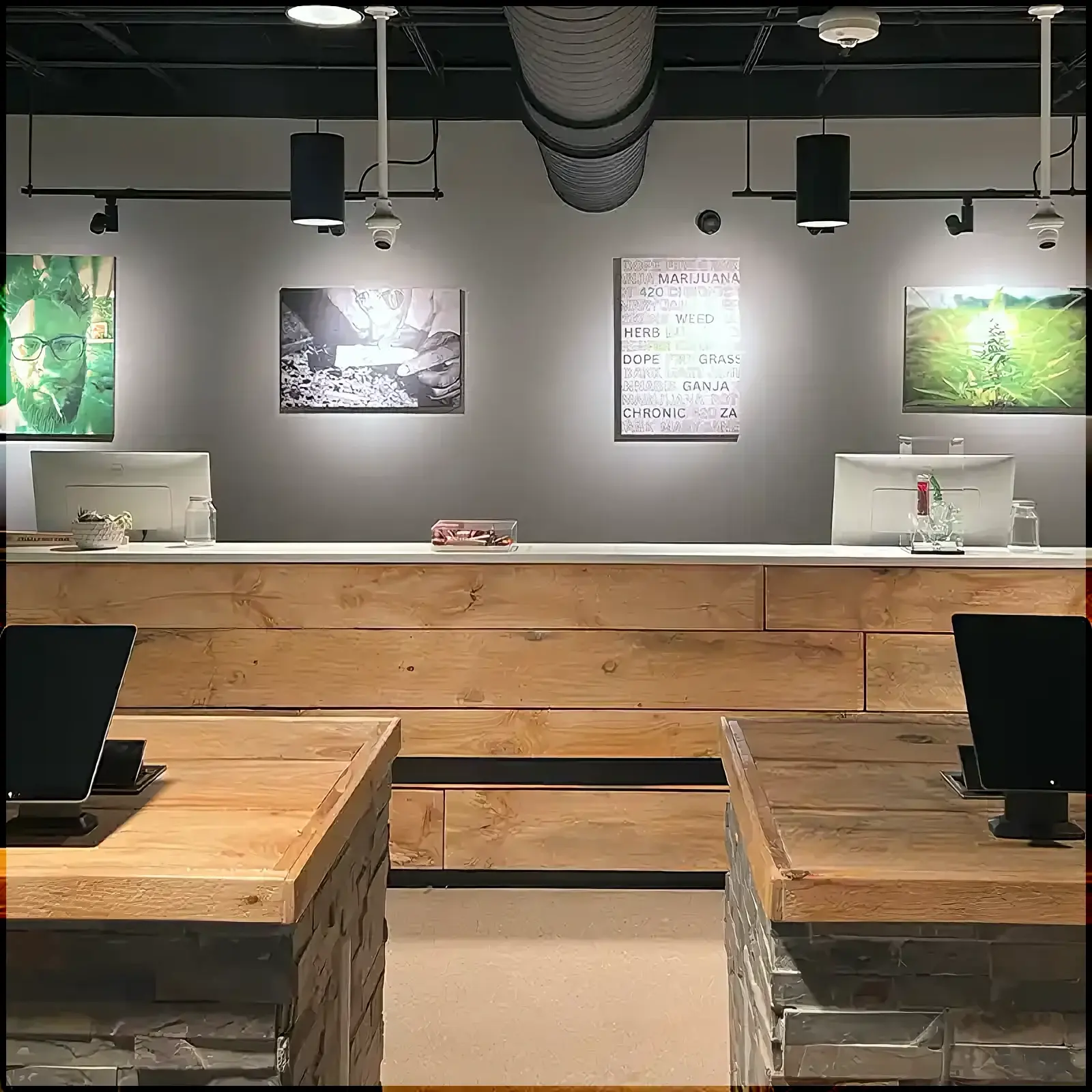 Nova Farms New Britain, photo 1
