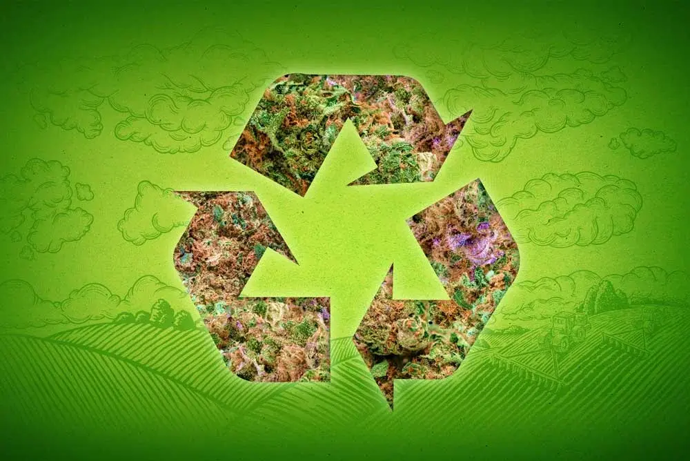 recycle-blog-nova-site