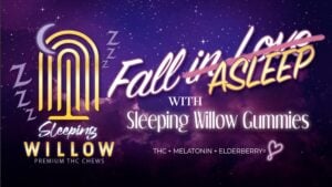 WillowSleeping-banner