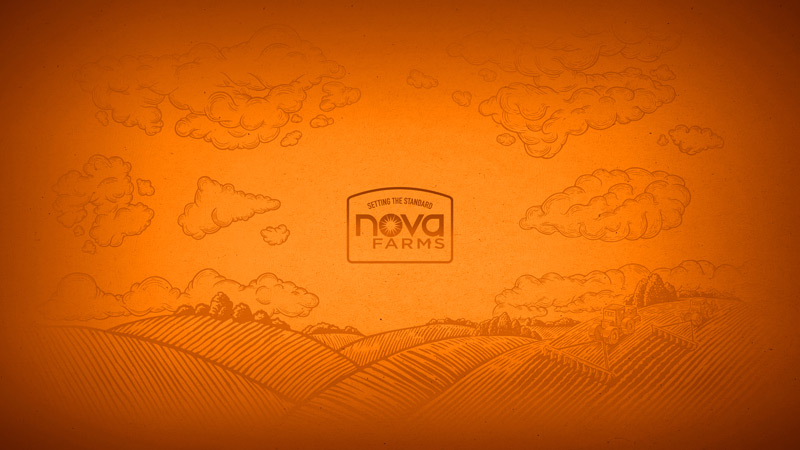thumbnail-nova-orange-desktop-wallpapers