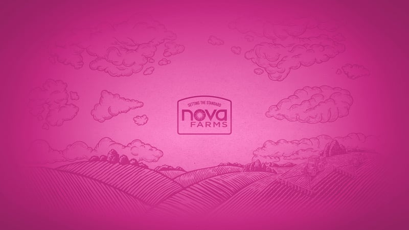 thumbnail-nova-pink-desktop-wallpapers