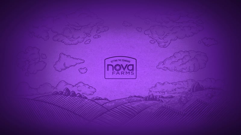 thumbnail-nova-purple-desktop-wallpapers