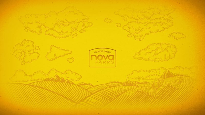 thumbnail-nova-yellow-desktop-wallpapers