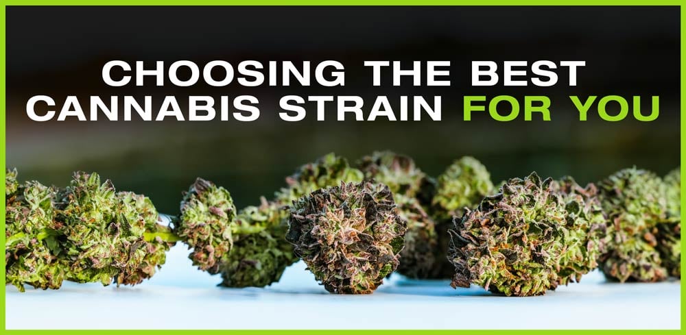 nova-blog-thumbnail-cannabis-choose-strain
