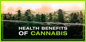nova-blog-thumbnail-cannabis-health-benefits