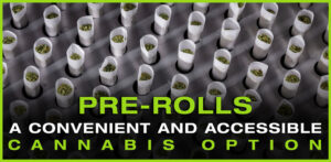 nova-blog-thumbnail-cannabis-preroll