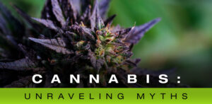 nova-blog-thumbnail-cannabis-MYTHS-1