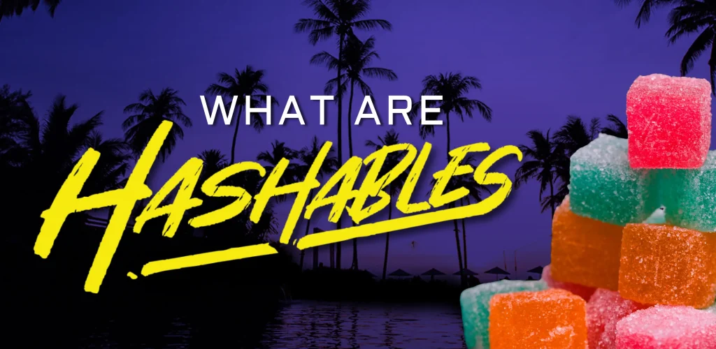 hsh-blog-cover