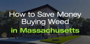 savemoneyonweed-ma-blog-thumbnail-nova