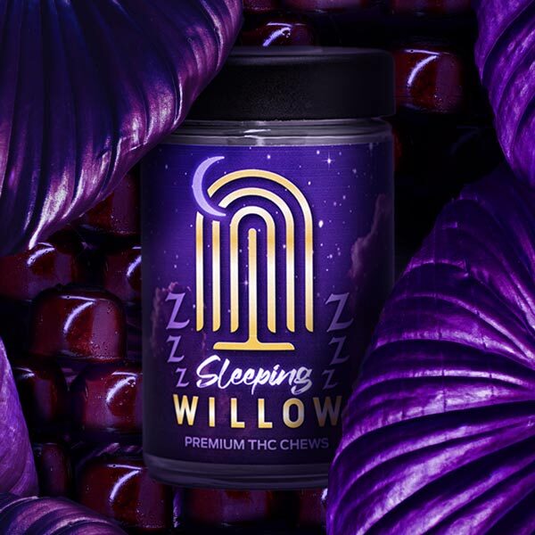 sleep-willow-3